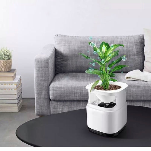 Air Purifier & Plant Stand featuring a plant on a modern coffee table in a stylish living room setting.